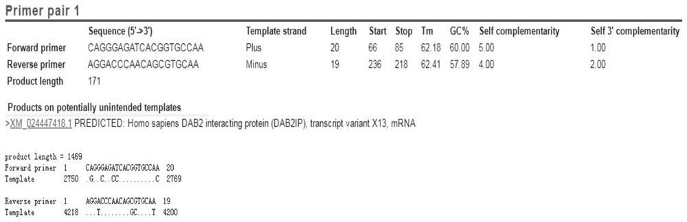 Specific primer, probe and real-time fluorescent quantitative PCR (Polymerase Chain Reaction) detection kit for detecting Clavibacter michiganensis subsp. nebraskensis