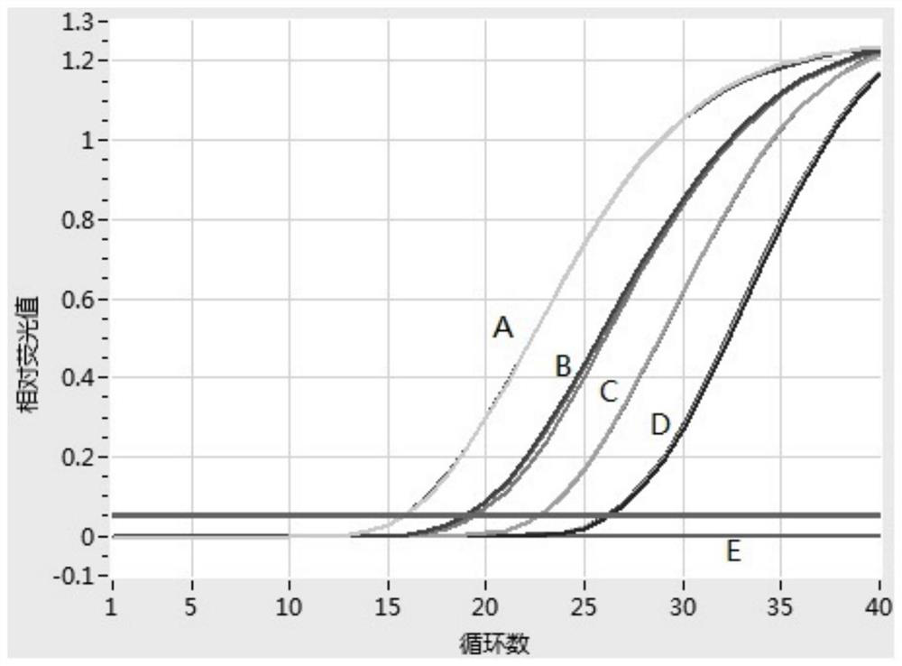 Specific primer, probe and real-time fluorescent quantitative PCR (Polymerase Chain Reaction) detection kit for detecting Clavibacter michiganensis subsp. nebraskensis