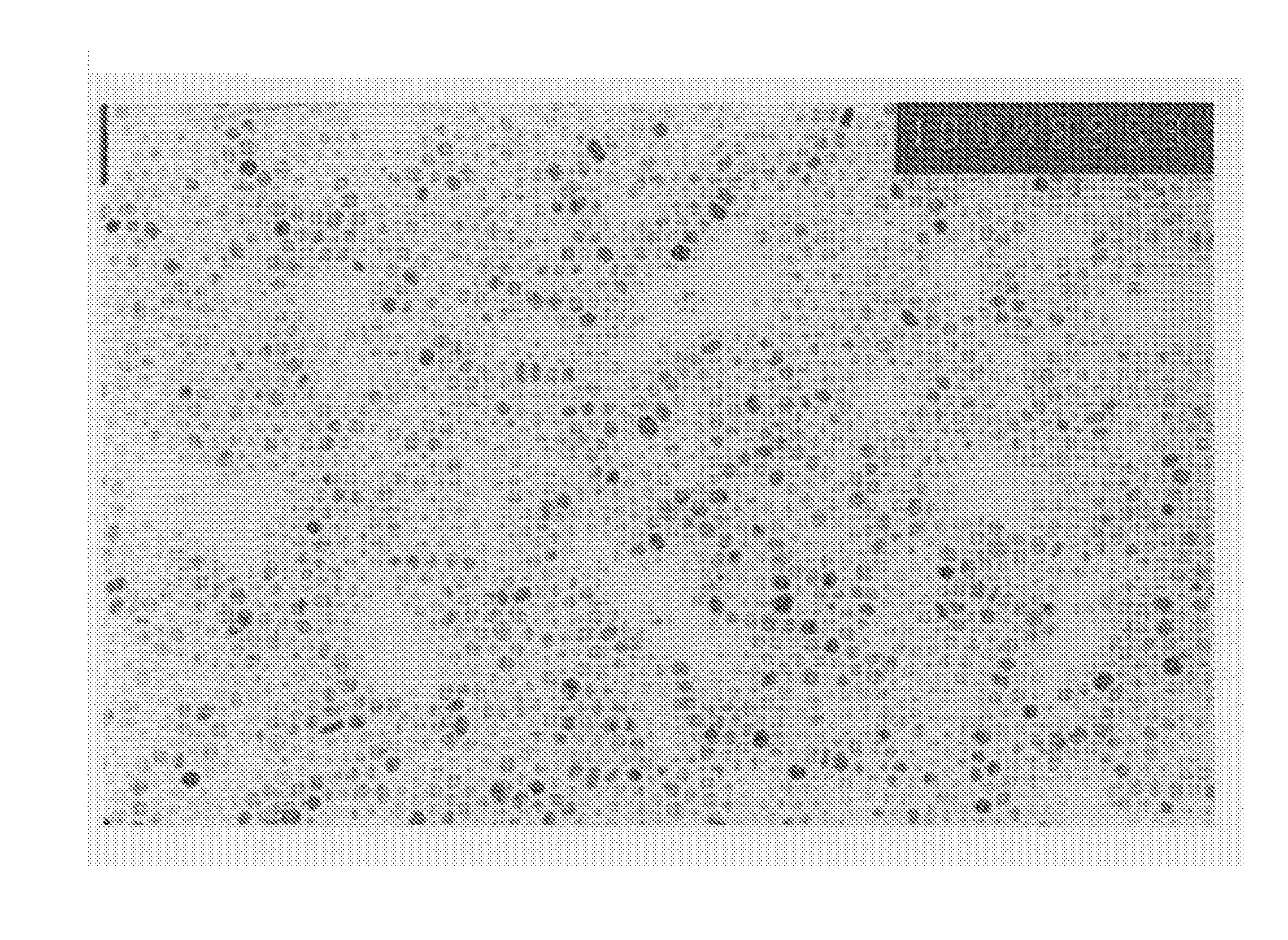 Low-temperature sinterable metal nanoparticle composition and electronic article formed using the composition