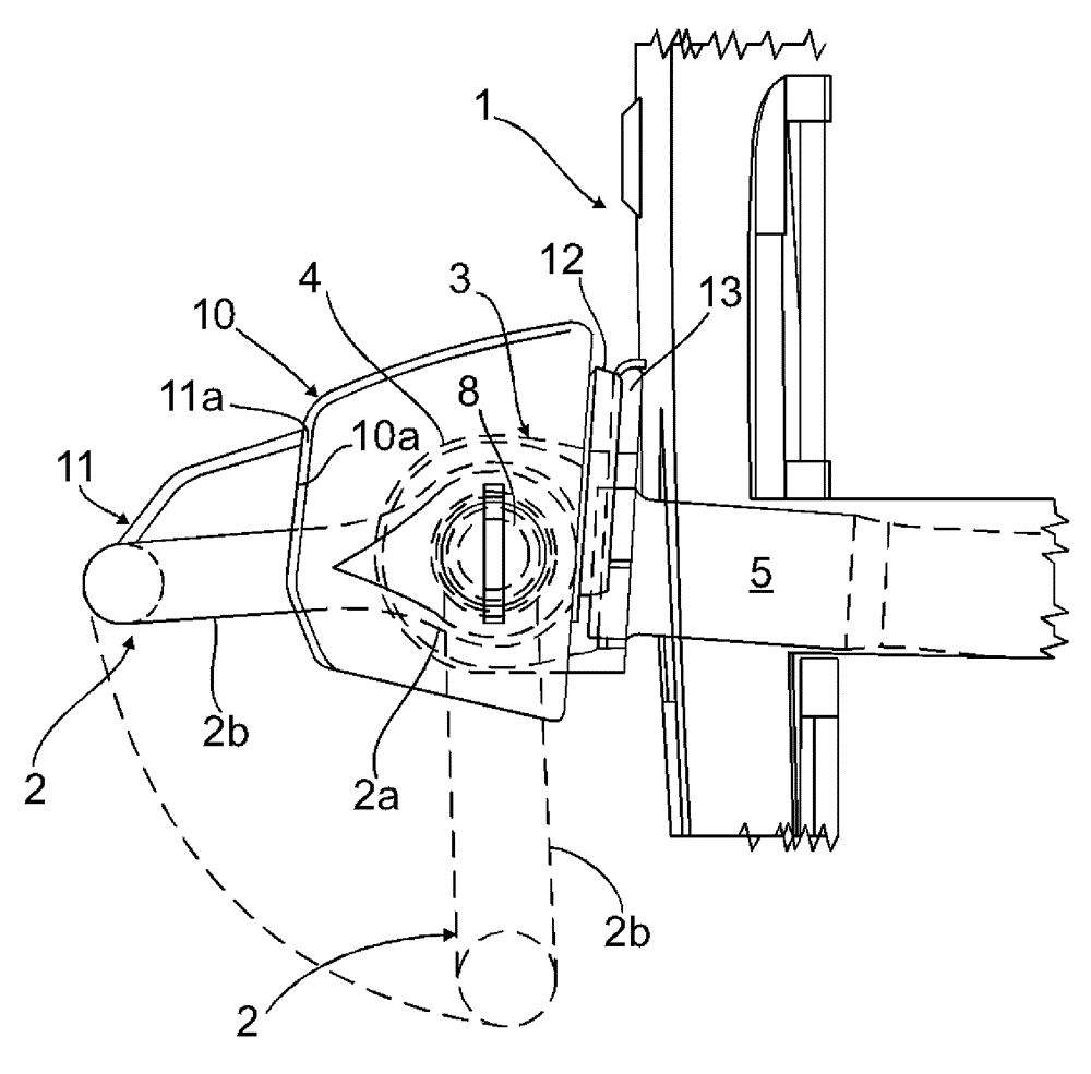 Cover plate for functional member extending from vehicle body structure at front or rear side of motor vehicle