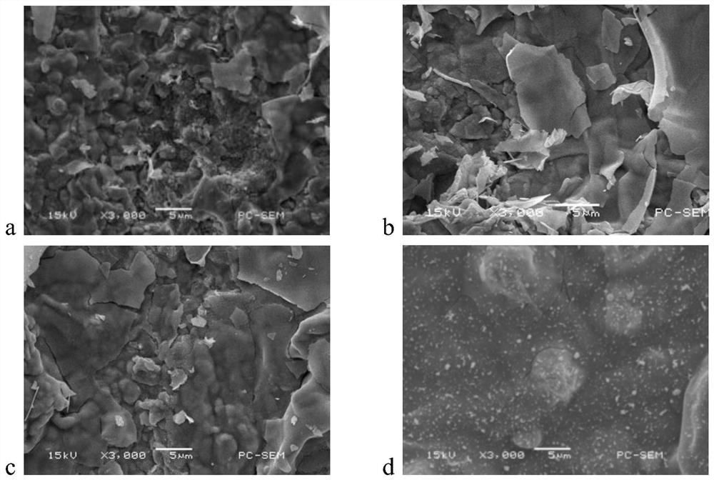 Graphene-rare earth gadolinium co-doped Ti/SnO2-Sb composite electrode and preparation method thereof