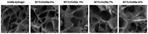 Halloysite composite hydrogel for promoting bone defect repairing, and preparation method and application thereof