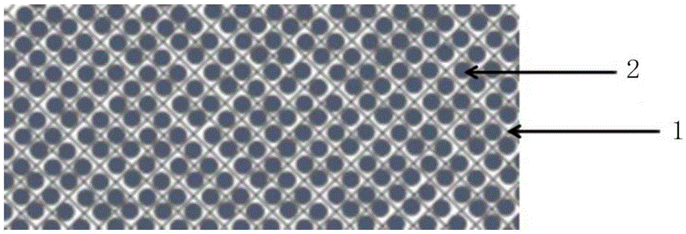 Flexible heat conduction/heat storage double-function composite material, method for manufacturing same and application of flexible heat conduction/heat storage double-function composite material