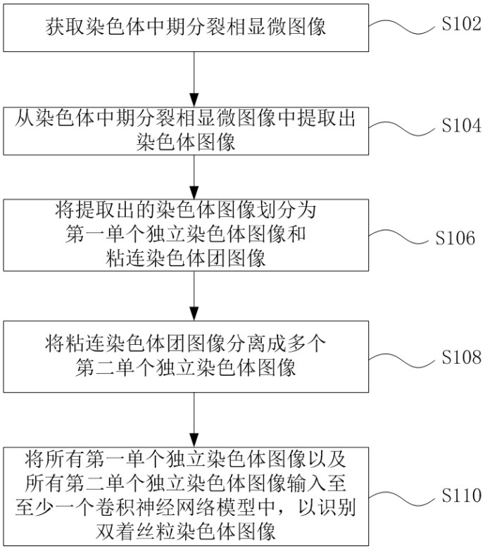 Method and system for automatically identifying microscopic image of metaphase splitting phase of chromosome