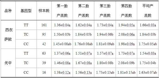 Molecular marking method of using neuroendocrine factor genes to select kidding characters