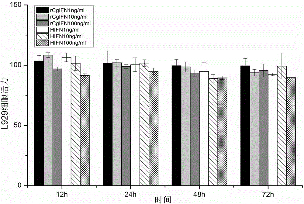 Crassostrea gigas interferoid (CgIFN-like) gene recombinant protein, and preparation and application thereof