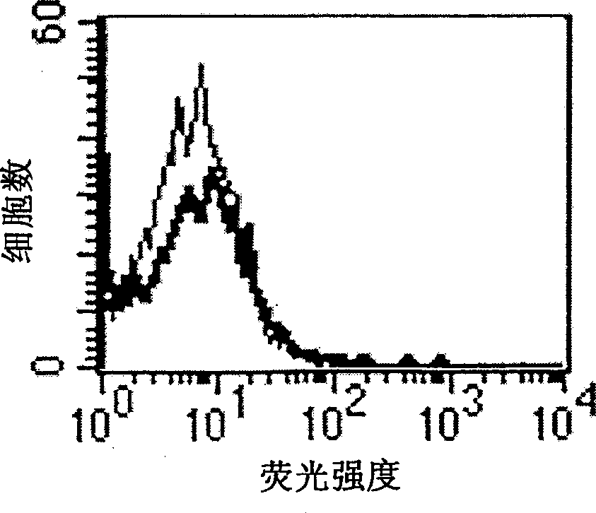 Novel receptor protein and method for diagnosing inflammatory diseases by using the same