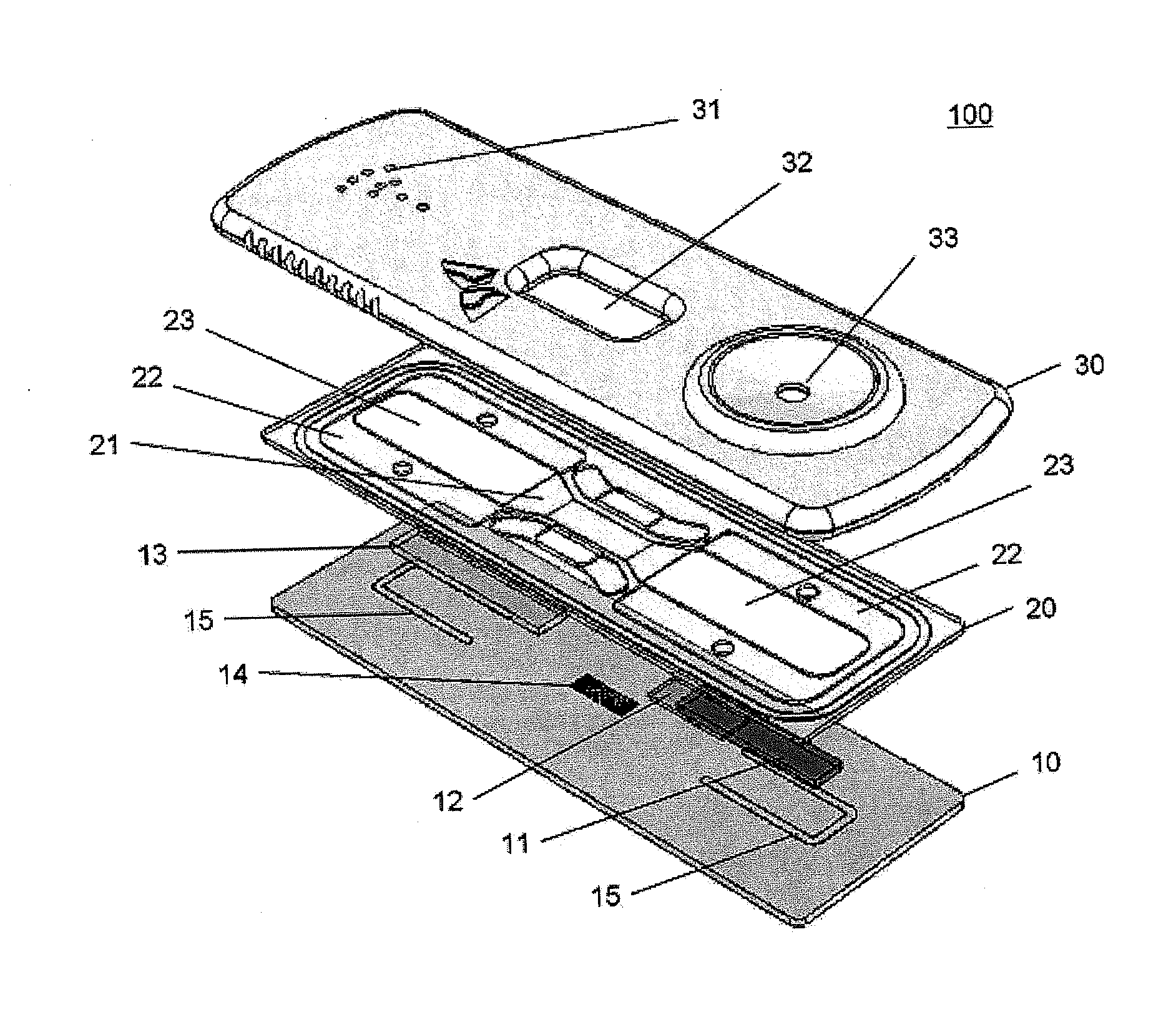 Micro-nano fluidic biochip for assaying biological sample