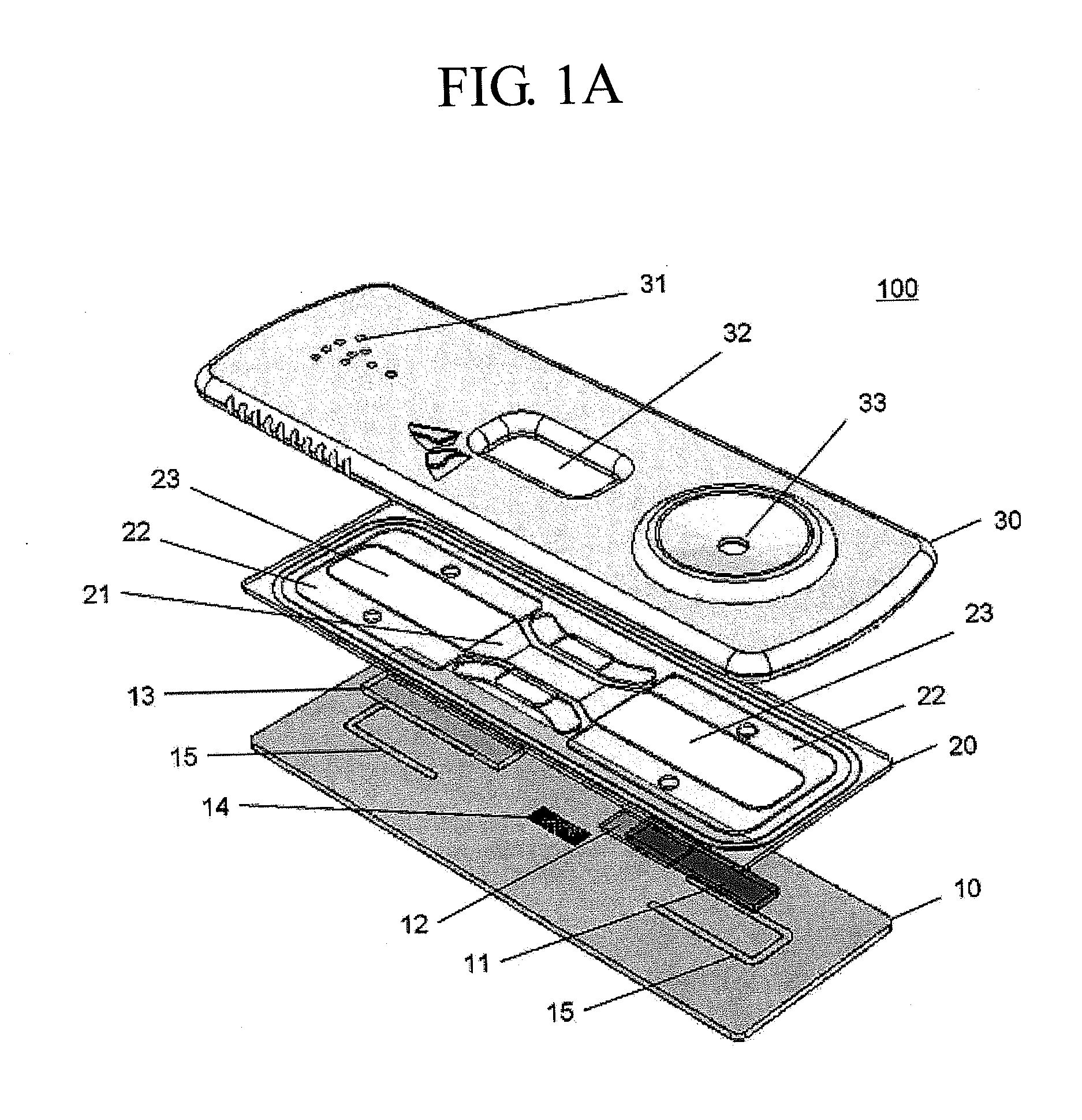 Micro-nano fluidic biochip for assaying biological sample