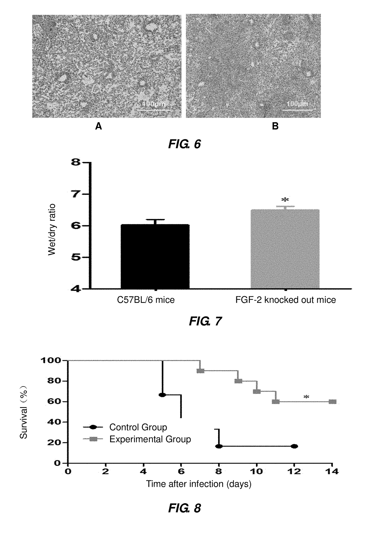 Novel use of fibroblast growth factor 2