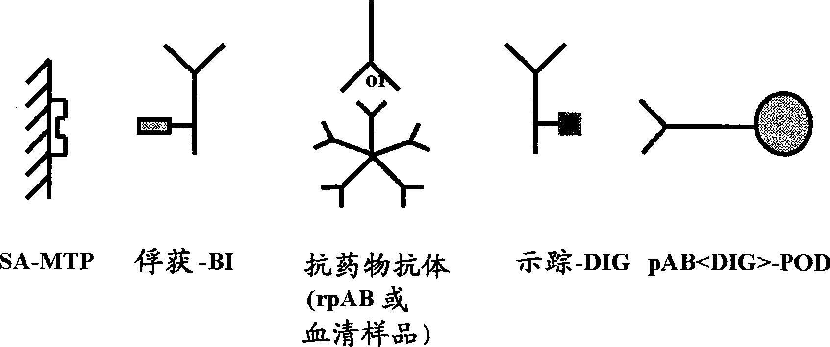 Anti-drug antibody assay