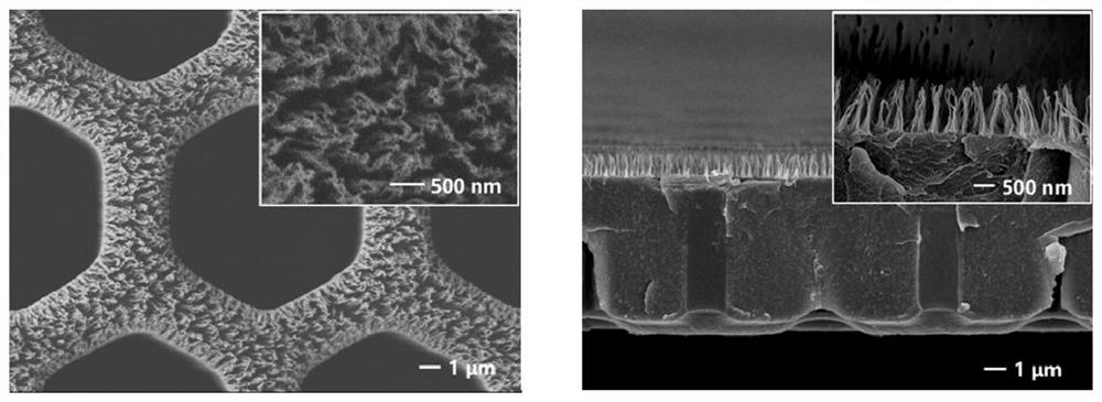 Method for preparing nano cilium structure on surface of polymer material