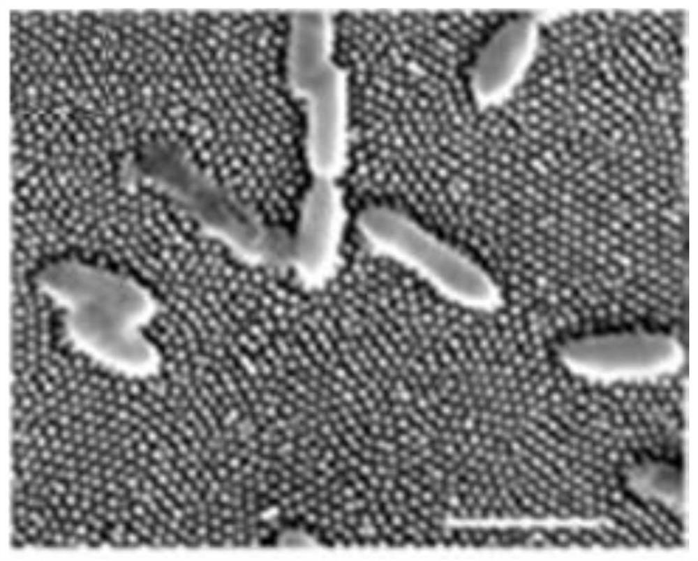 Bionic micro/nano antibacterial structure, manufacturing method therefor and application of bionic micro/nano antibacterial structure