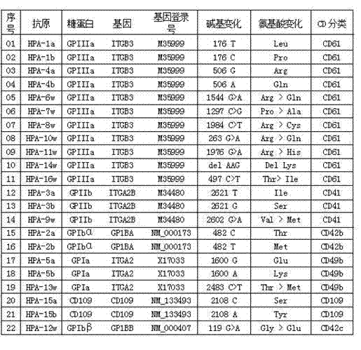 Human platelet antigen genotyping liquid chip and human platelet antigen genotyping detection method thereof