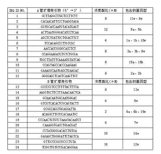 Human platelet antigen genotyping liquid chip and human platelet antigen genotyping detection method thereof