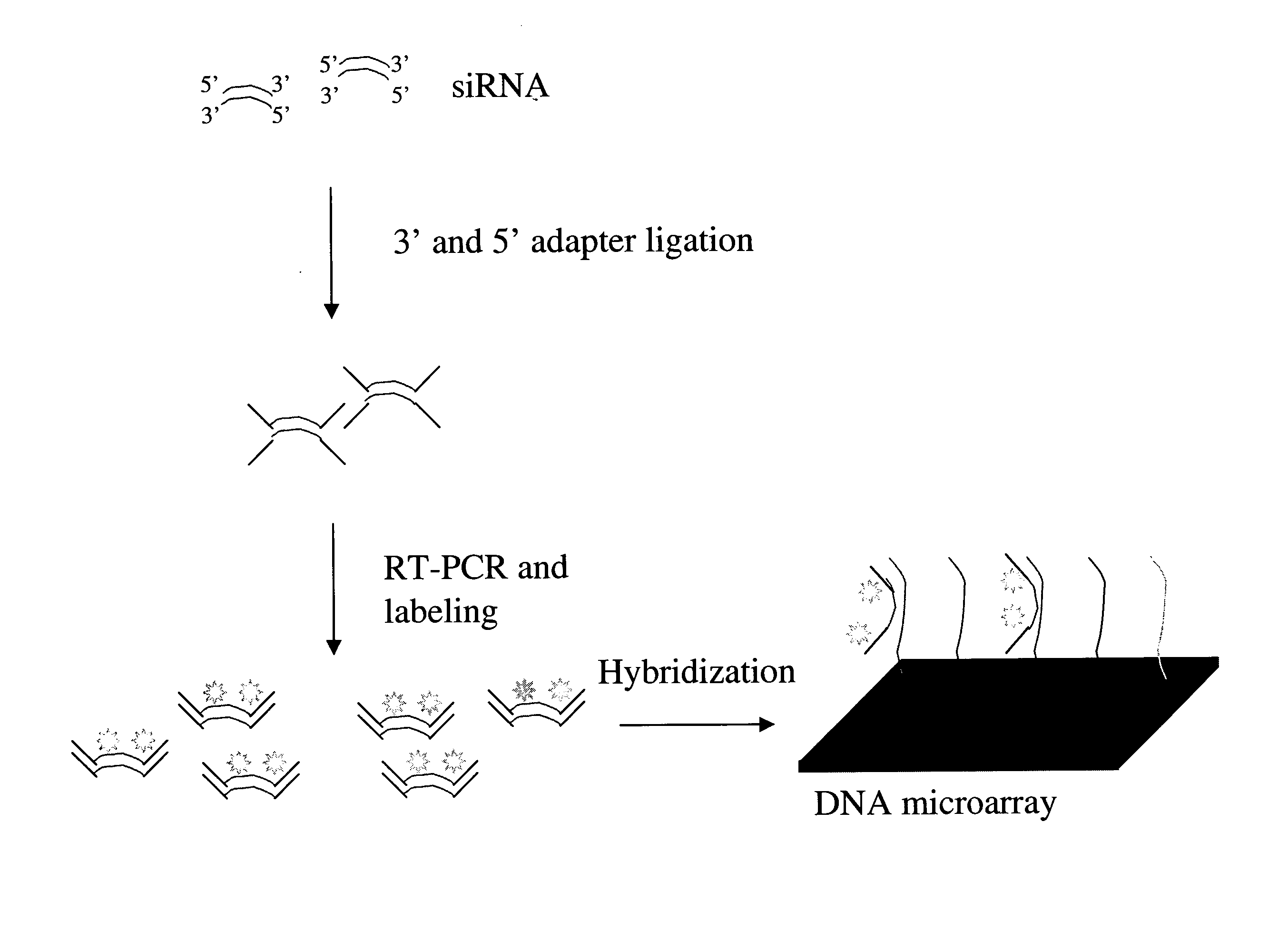 Detection and quantification of siRNA on microarrays