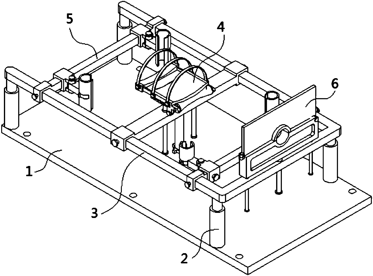 Fixing device for veterinary treatment injection