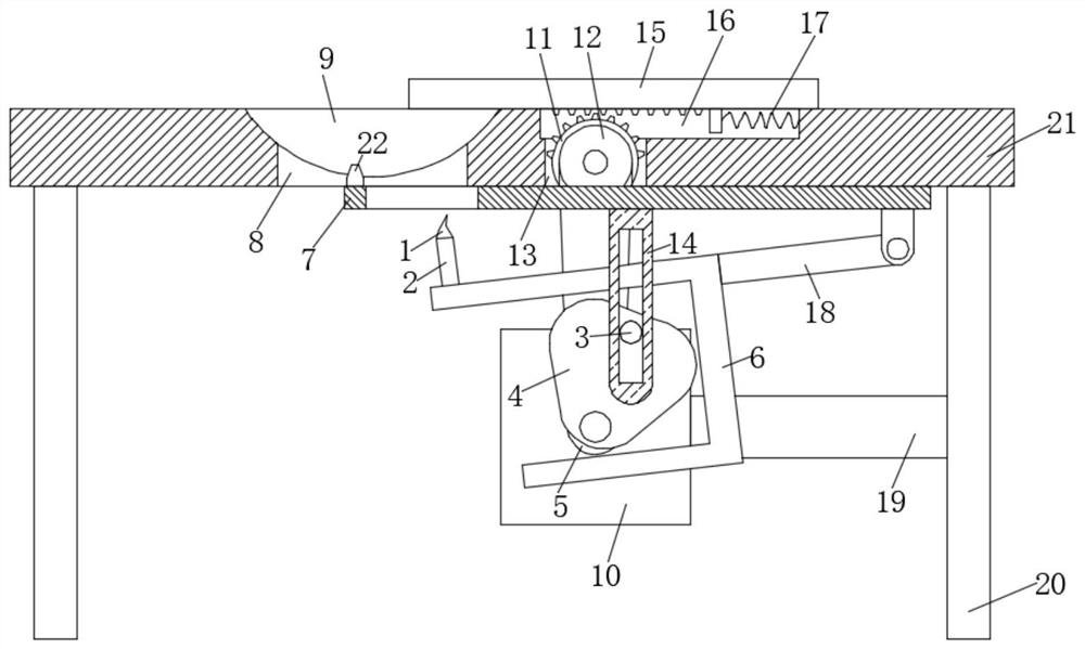 Shrimp processing equipment