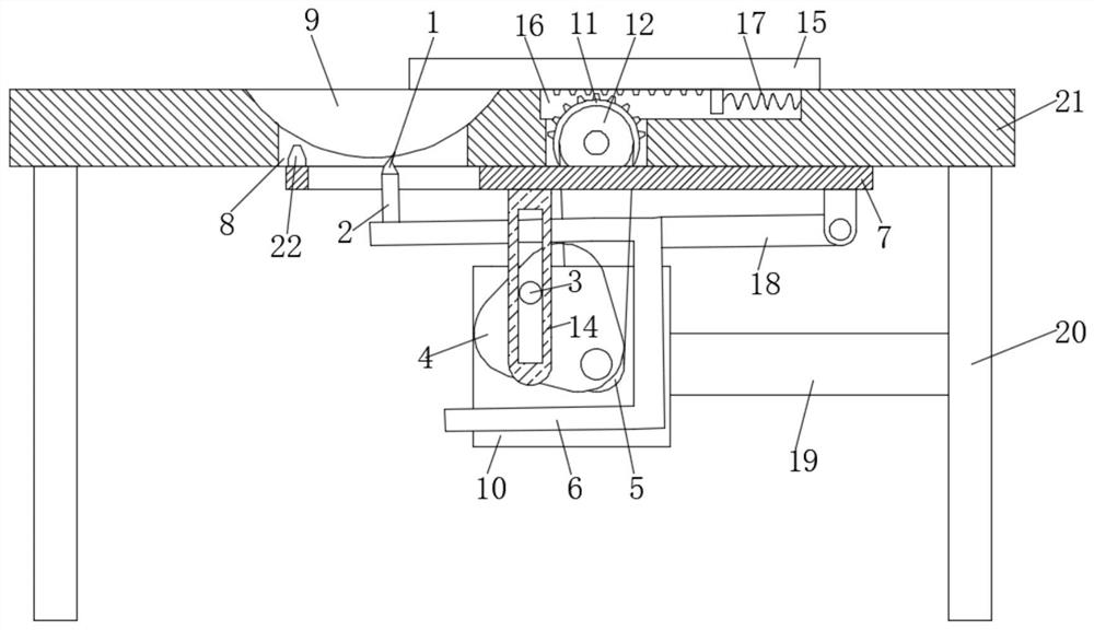 Shrimp processing equipment