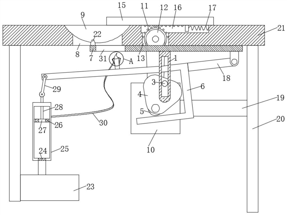 Shrimp processing equipment