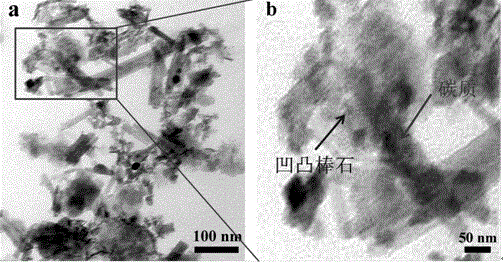 Method for preparing charcoal-supported attapulgite nano composite by using antibiotic wastewater