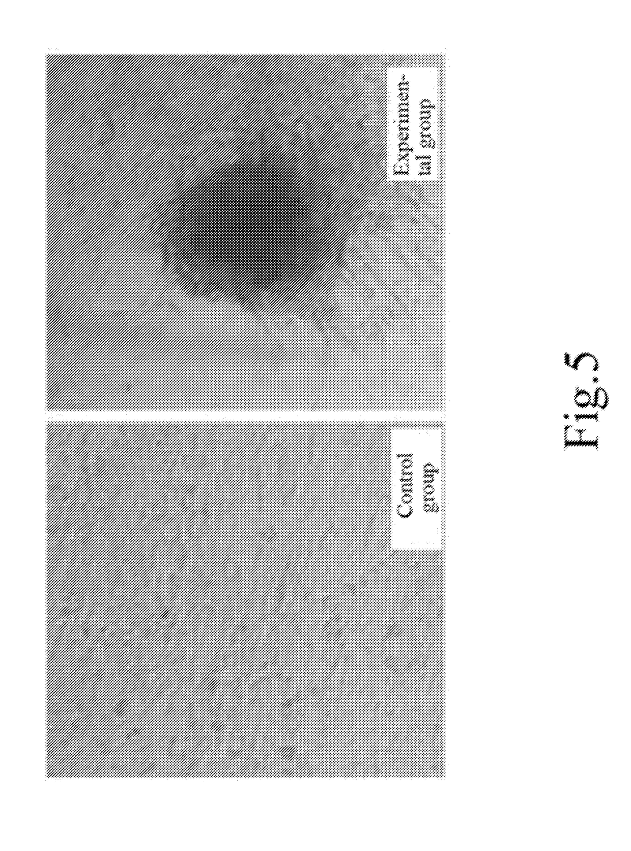 Application of ethyl p-methoxycinnamate and derivatives thereof in maintaining self-renewal and pluripotency of stem cells