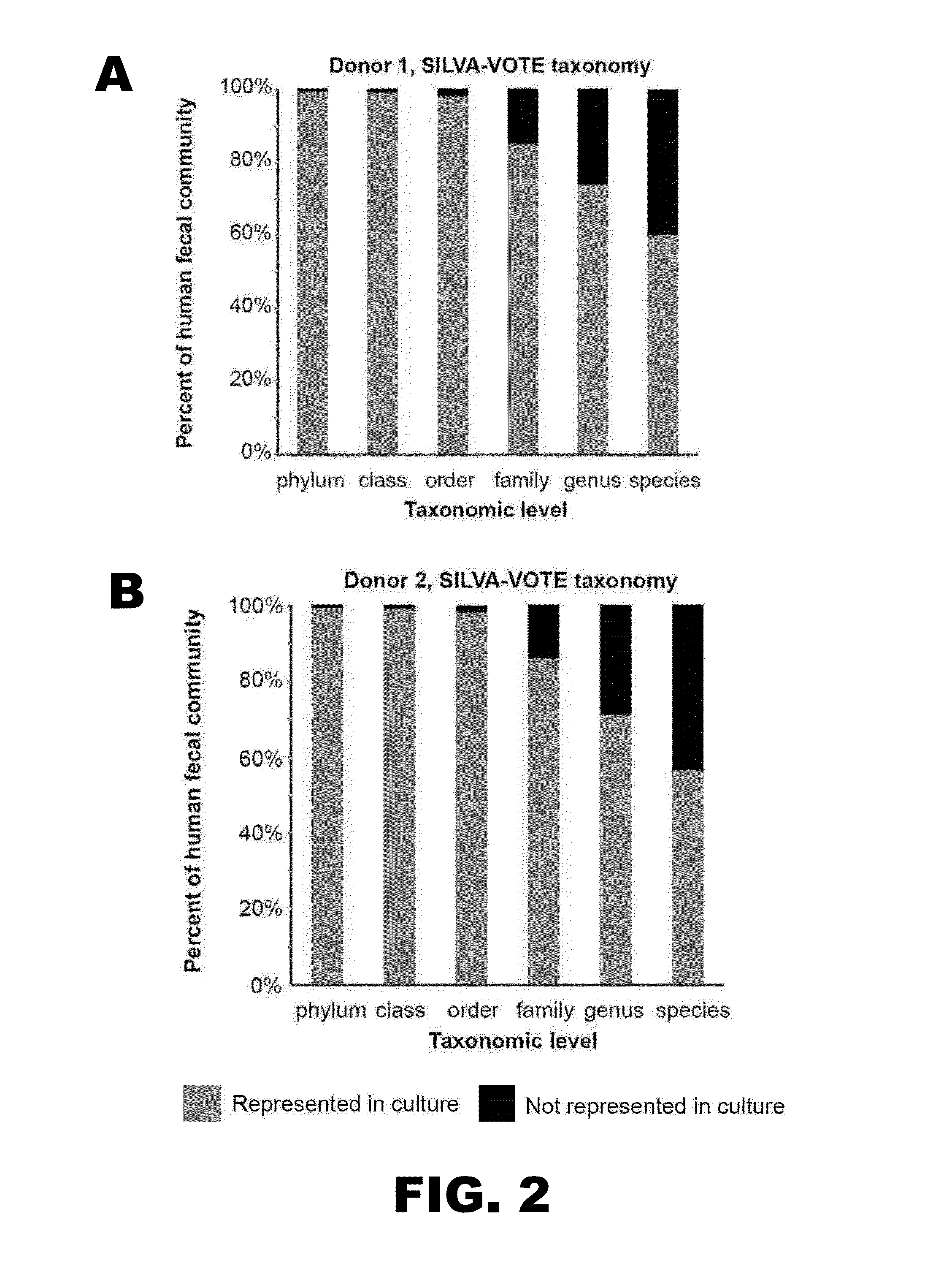 Cultured collection of gut microbial community