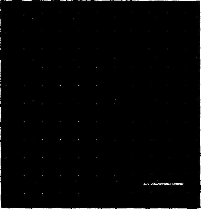 Lead free piezoelectric ceramics of potassium sodium niobate and preparation thereof