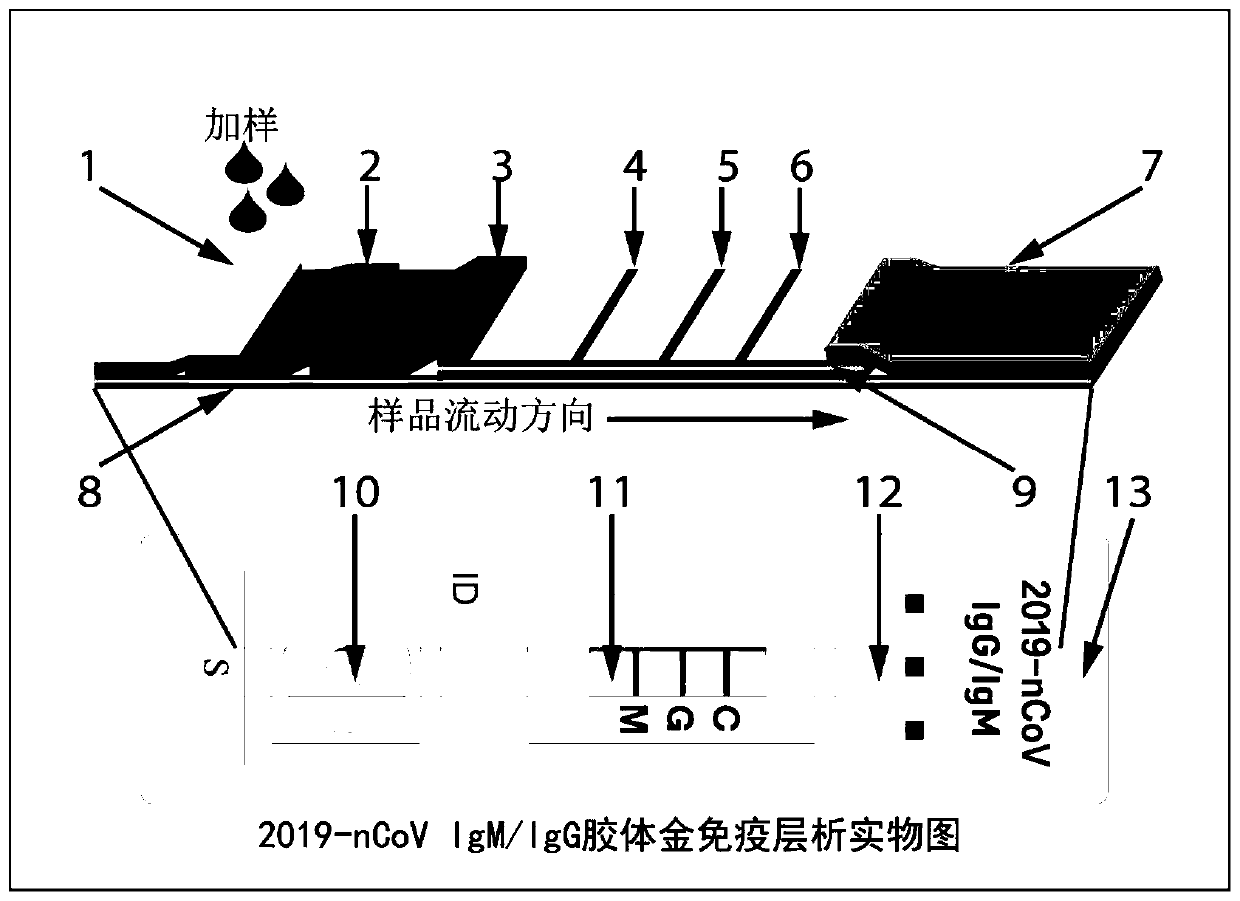 System for rapidly detecting new coronavirus 2019-nCoV in blood sample and preparation method of system