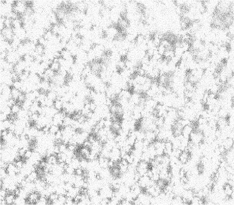 Method and corrosive liquid for making texture surface of monocrystalline silicon