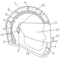 Motorcycle helmet device