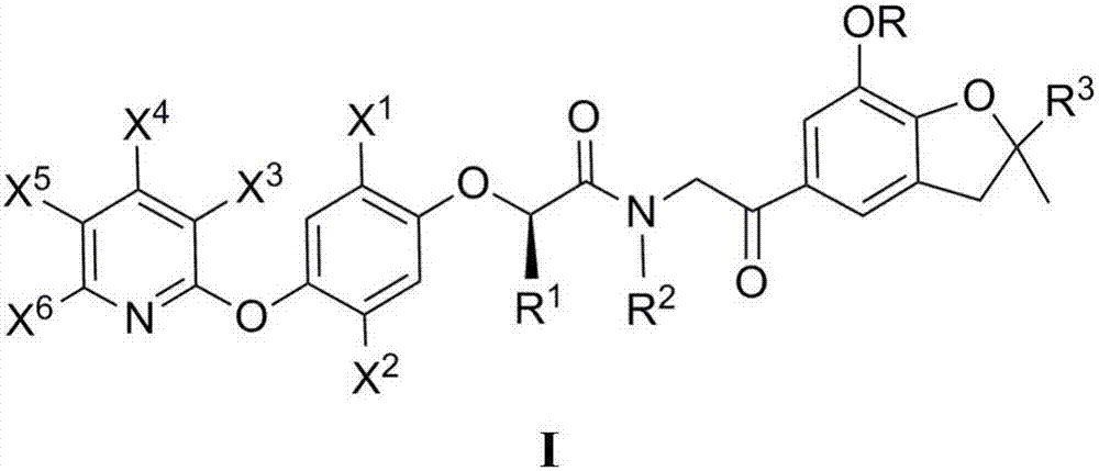 n-(Oxoethyl)-2-[4-(pyridin-2-yloxy)phenoxy]amide derivatives