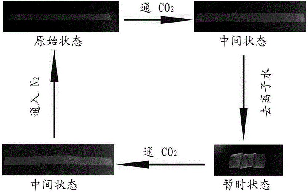 Shape memory anti-tear hydrogel with carbon dioxide responsibility, as well as preparation method and application of shape memory anti-tear hydrogel