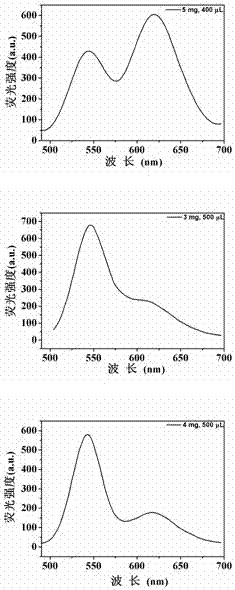 A dual-emission ratiometric quantum dot fluorescent probe and its preparation method and application