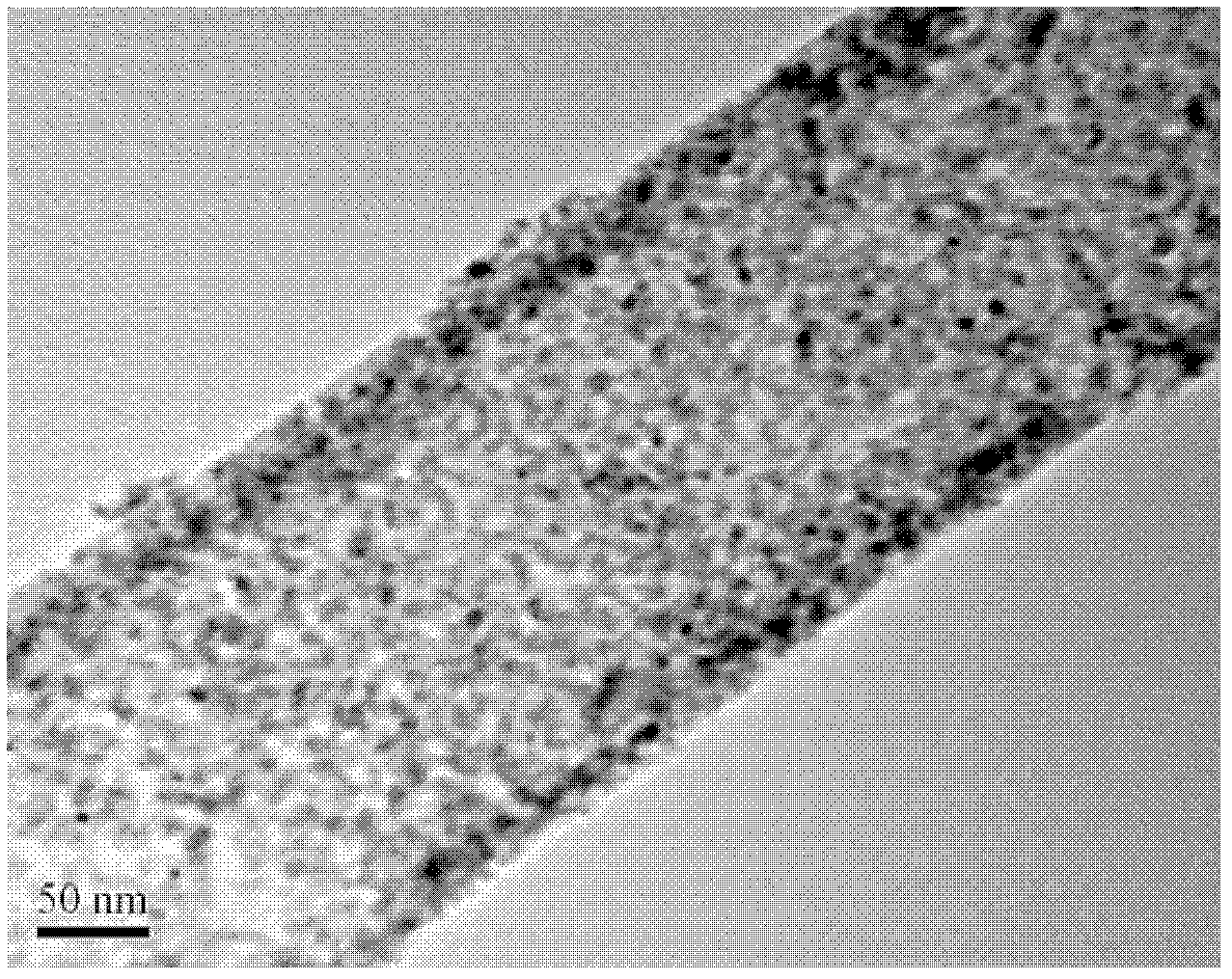 Modified titanium dioxide nano particle nanotube and preparation method thereof