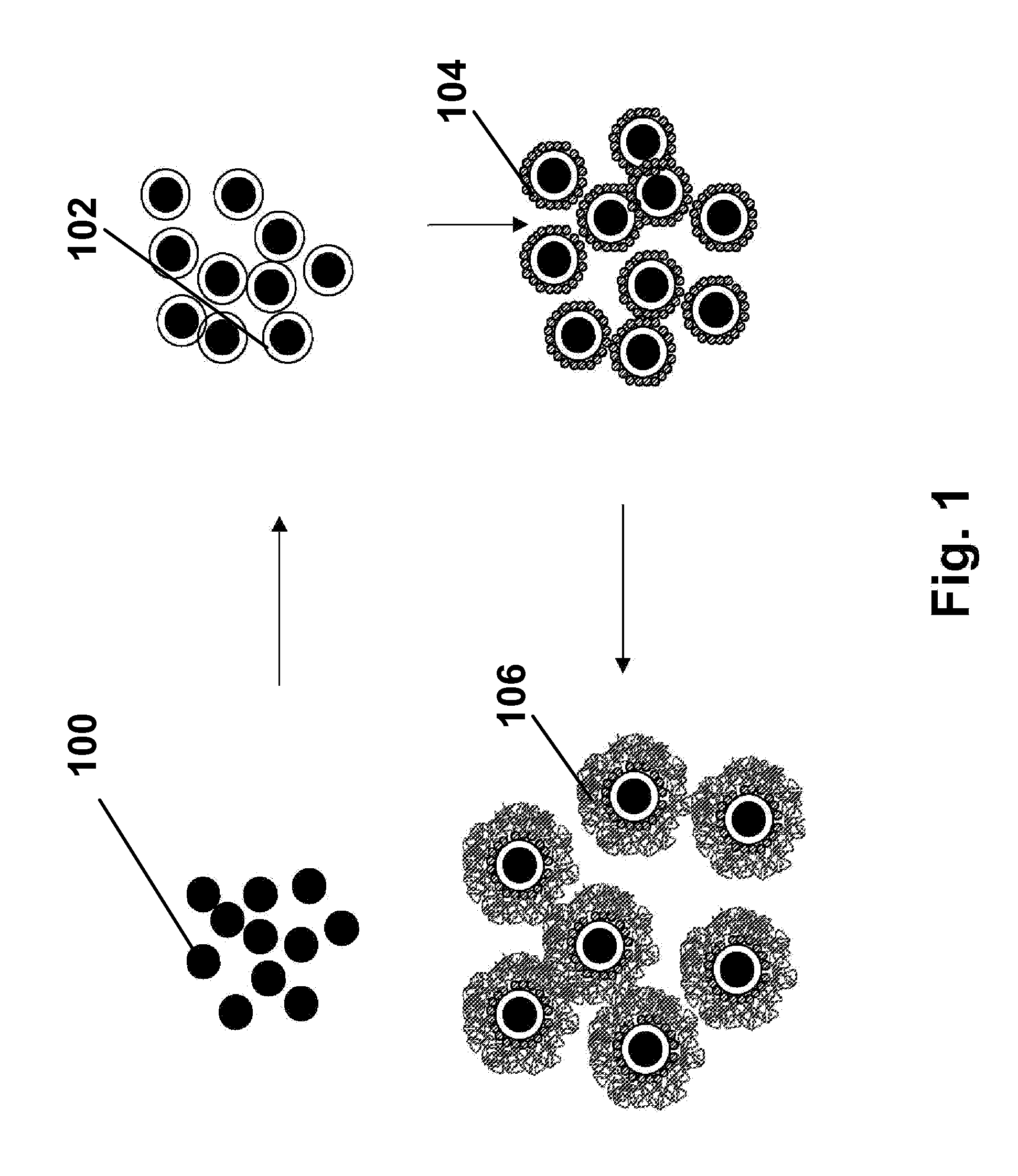 Electrophoretic particles, and processes for the production thereof