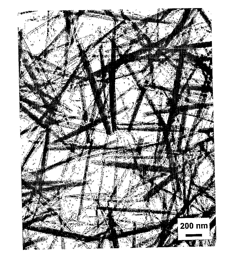 Rare Earth Nanorods