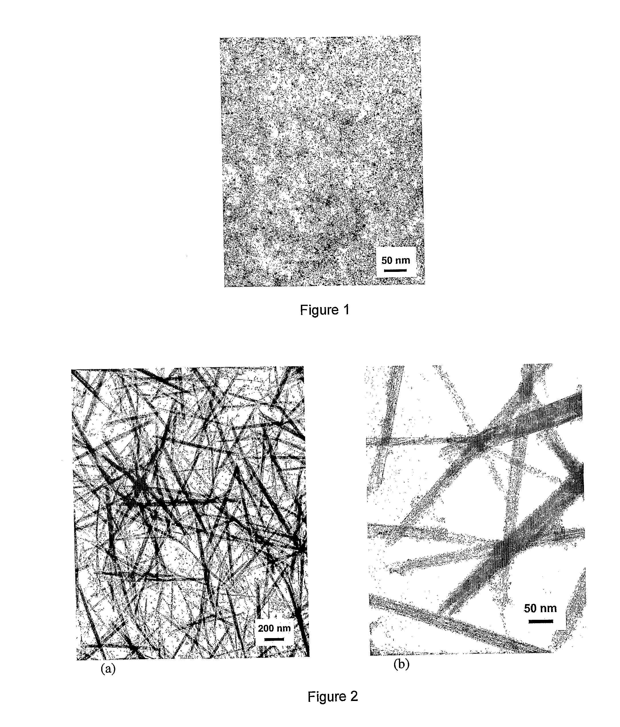 Rare Earth Nanorods