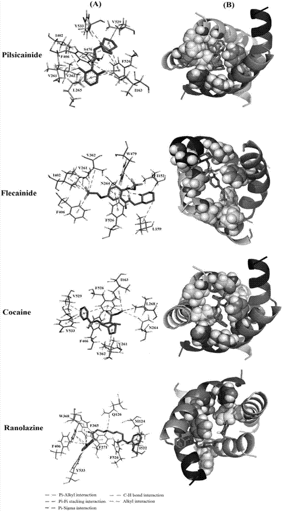 Structure prediction method of voltage-gating sodium ion channel