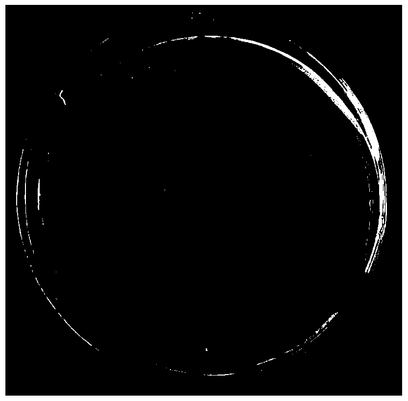 Methylotrophic bacillus strain and its application