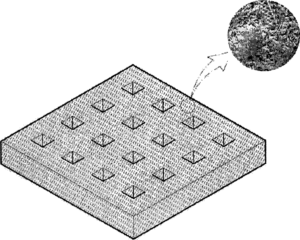 Vegetation basis and method of production thereof