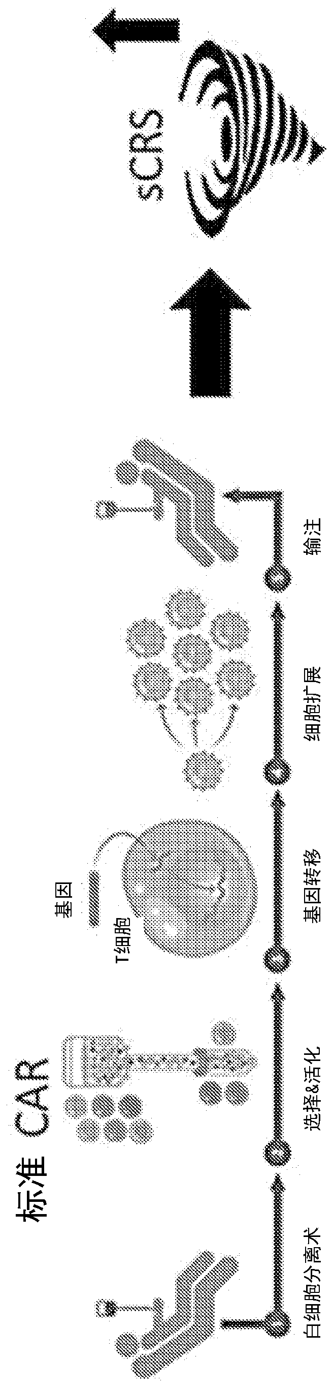 Combination immune therapy and cytokine control therapy for cancer treatment