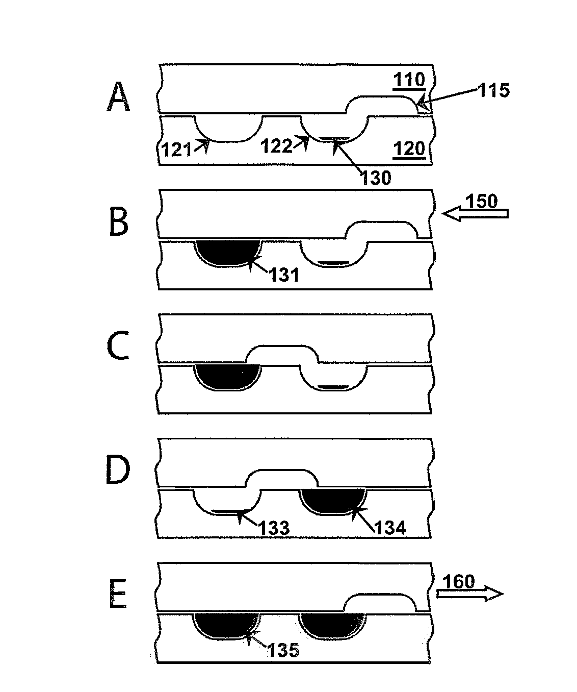 Fluidic devices for biospecimen preservation