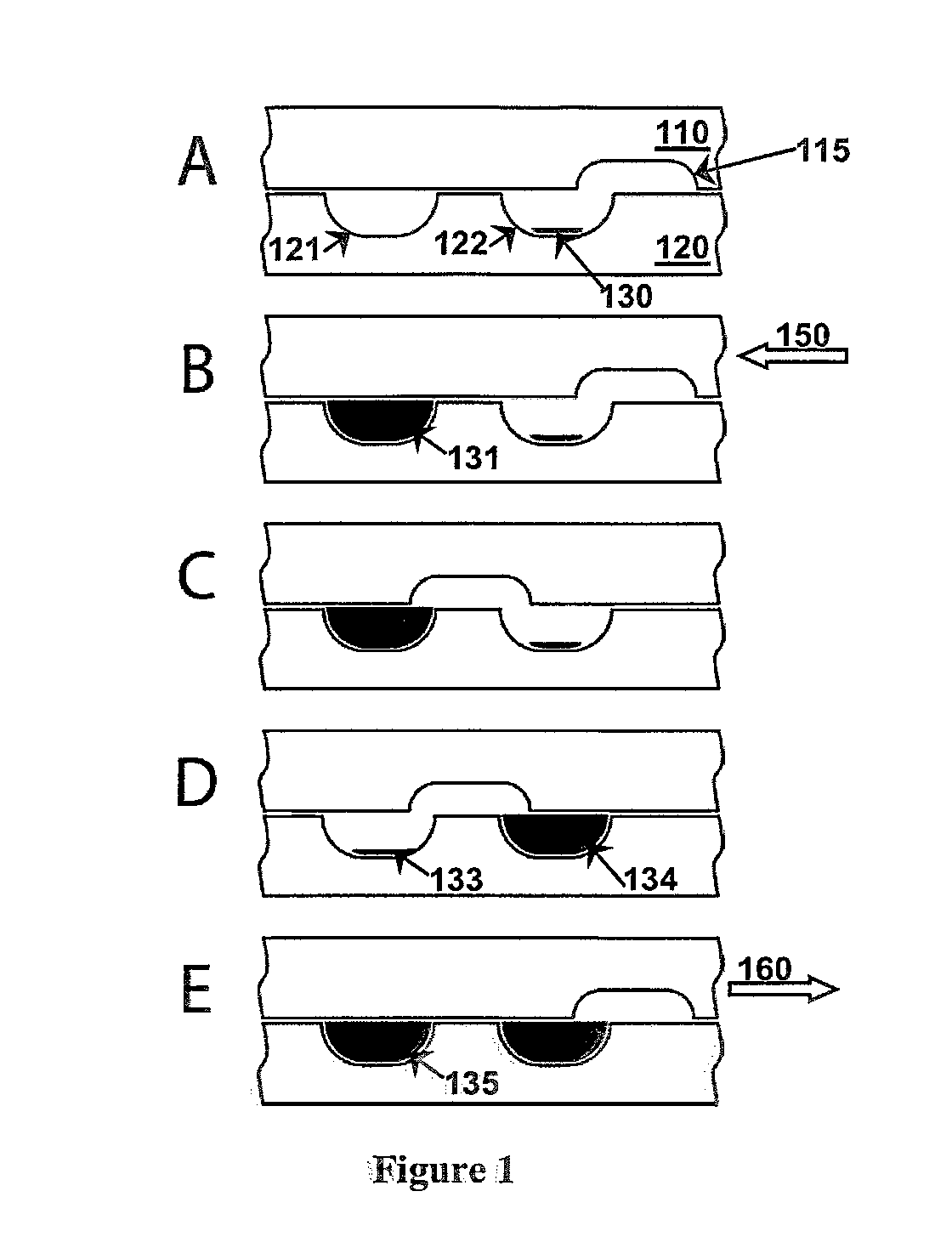 Fluidic devices for biospecimen preservation