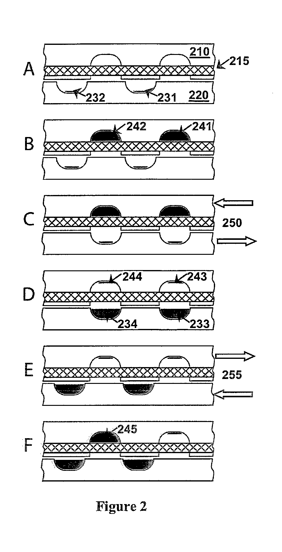 Fluidic devices for biospecimen preservation