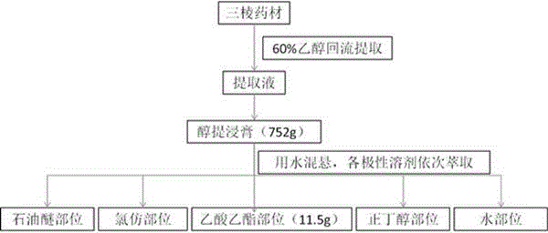 Applications of peptides compound in rhizome sparganii