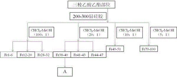 Applications of peptides compound in rhizome sparganii