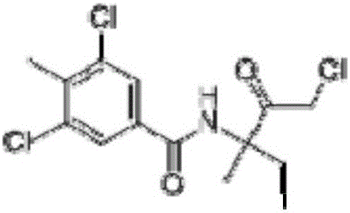 Bactericidal composition containing isopyrazam and zoxamide and application of bactericidal composition