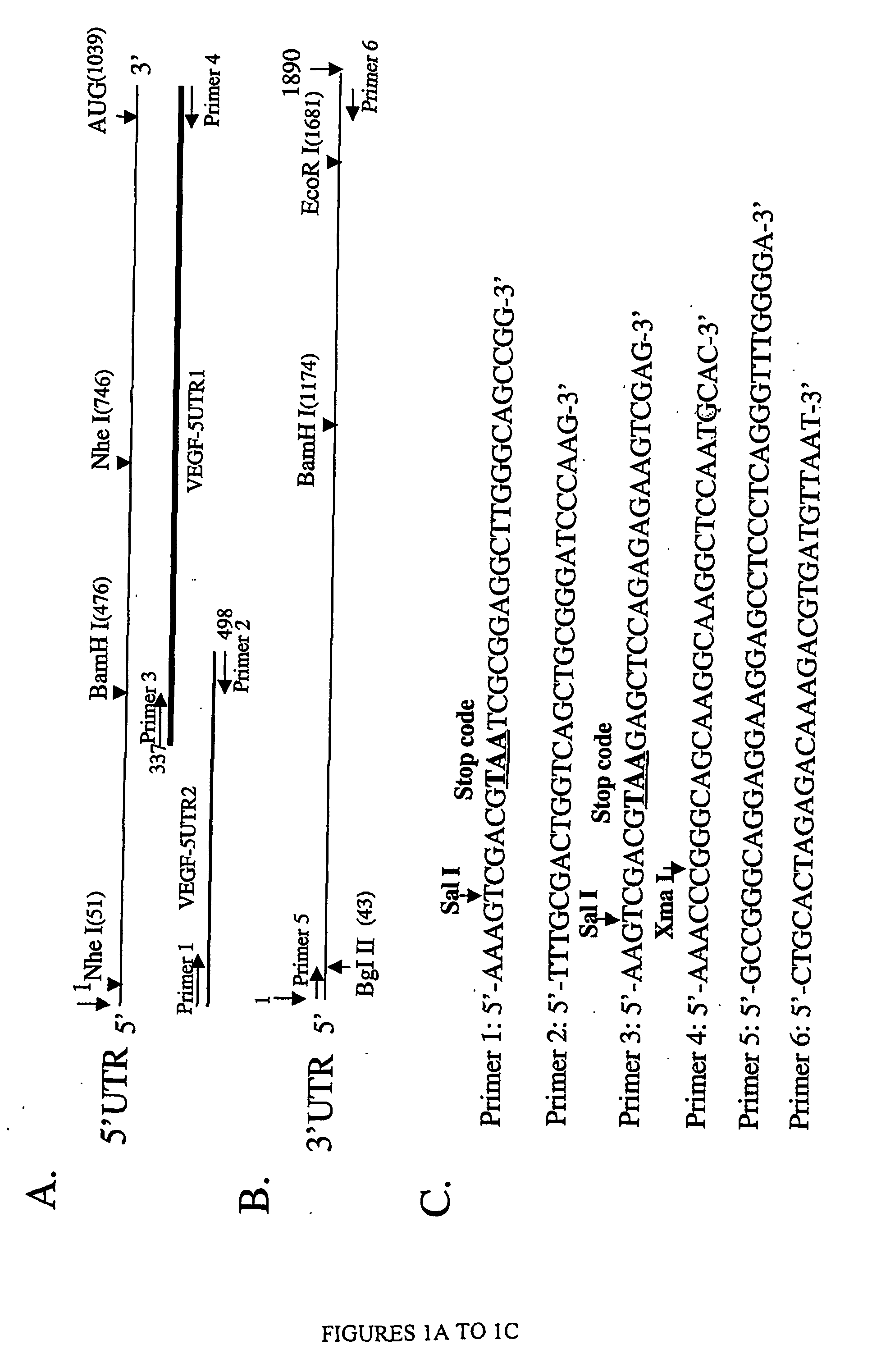 Methods for identifying compounds that modulate untranslated region-dependent gene expression and methods of using same