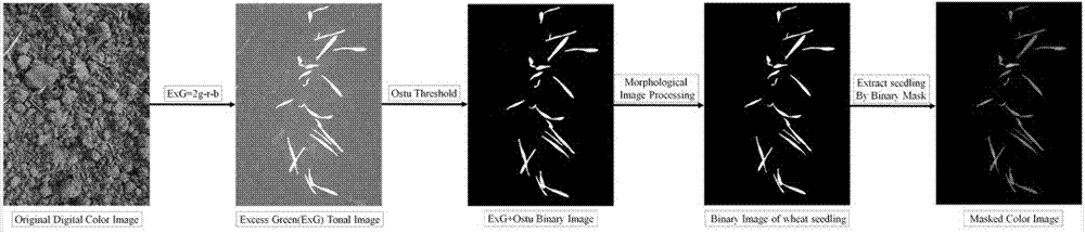 Wheat seeding counting method